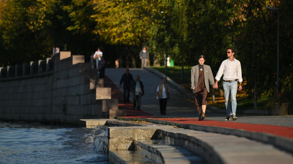 ВЦИОМ: 65% женщин готовы начать отношения с мужчиной, зарабатывающим меньше