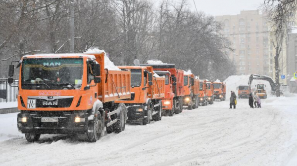 РИА Новости: в Москве высота снежного покрова достигла 80 см