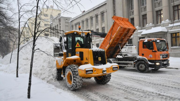 РИА Новости: в Москве высота снежного покрова достигла 80 см