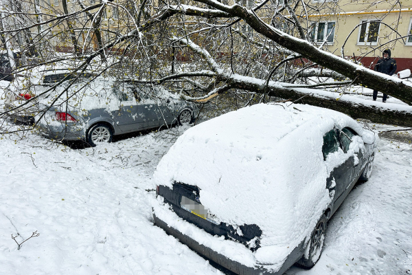
            С этими последствиями снегопада столкнулись водители в Москве. Фото
        