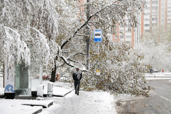 
            С этими последствиями снегопада столкнулись водители в Москве. Фото
        