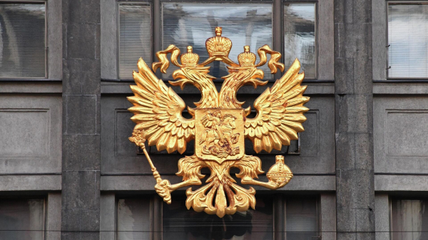 Депутат Леонов предложил включить послеродовую реабилитацию женщин в ОМС