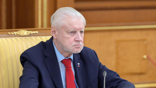 Миронов предложил выплачивать многодетным компенсацию на покупку полиса ОСАГО